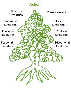 Tree labeled as "brain" with levels of evolution around it